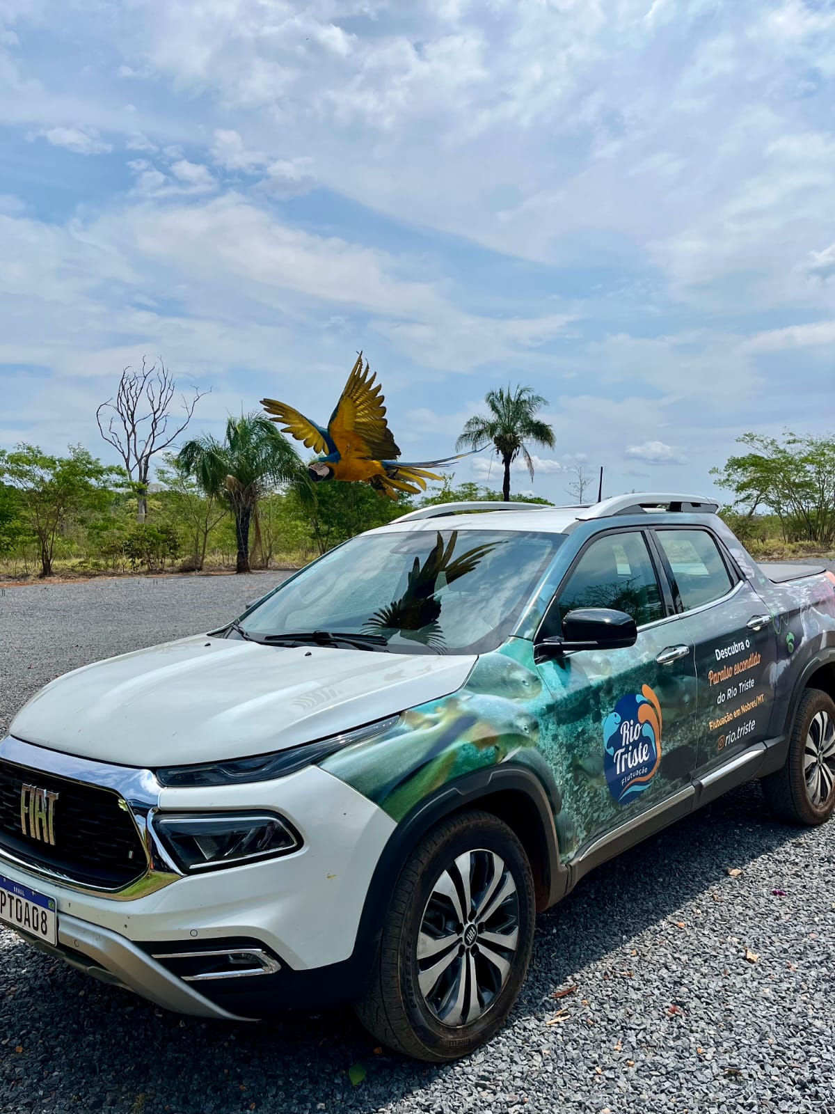 Imagem da galeria 14